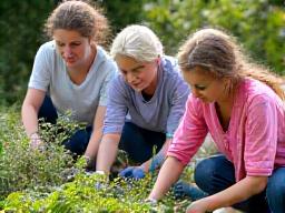 Young people and older adults working together on a community gardening project in Dublin